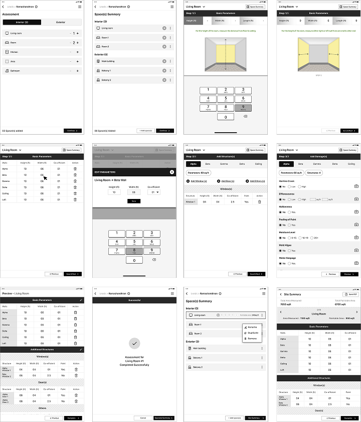 Redesigned Nippon assessment flow screens